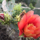Illustration for article titled Spring has sprung: A Xyl0 photo gallery